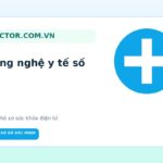 Các mốc khám thai quan trọng mẹ bầu cần nhớ